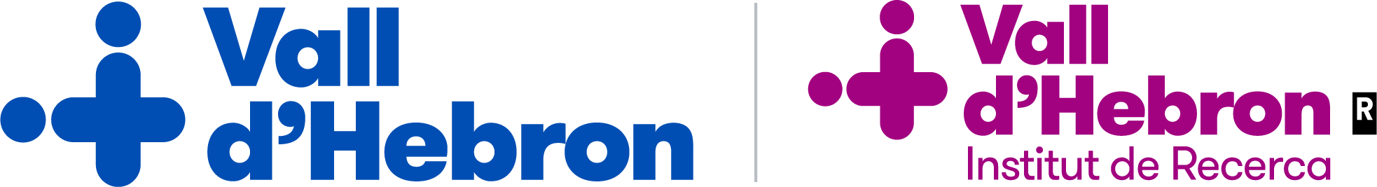 VHIR - Vall d'Hebron Institut de Recerca
